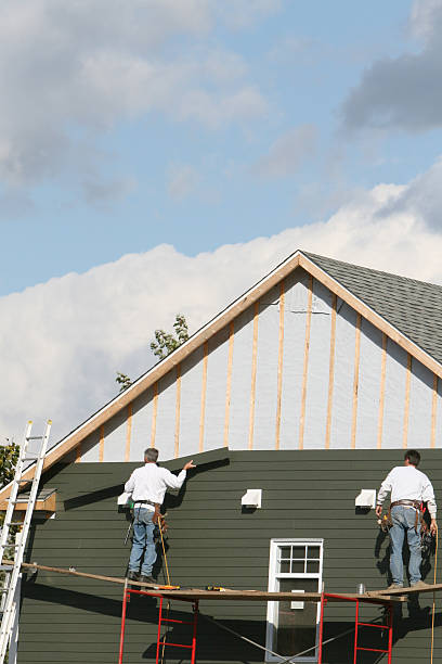 Best Historical Building Siding Restoration  in Kraemer, LA