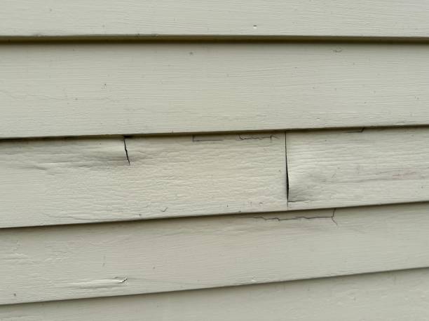 Best Custom Trim and Detailing for Siding  in Kraemer, LA